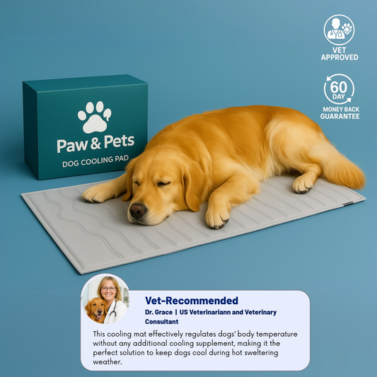 DoggiePad